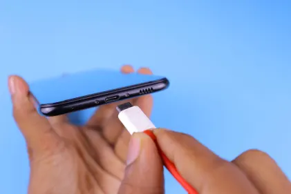 Kasyno Dogs Fortune Aplikacja mobilna